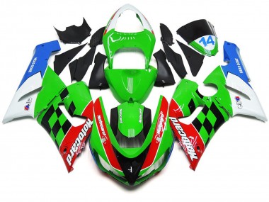 05-06 Cuadro Multicolor ZX6R Carenados Moto