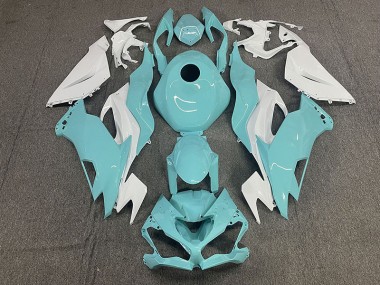 19-23 Agua ZX6R Carenados Moto