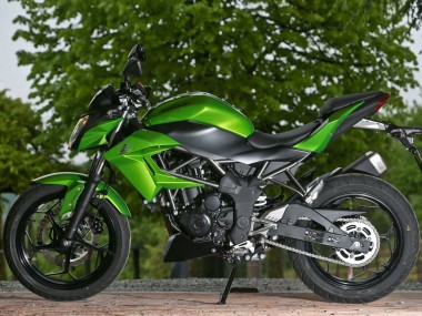 Venta Carenados Moto Kawasaki Z250/Z300 2015-2016 - Verde Negro Mate