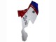 Venta Carenados ABS BMW K1200S 2005-2010 - Blanco Rojo Azul