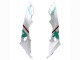 Venta Carenados Moto BMW S1000RR 2017-2018 - Blanco Verde