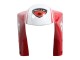 Venta Carenados Moto Ducati 748/916/996/998 1993-2005 - Blanco Rojo Amarillo Verde Negro Brillante Performance