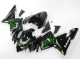 Venta Carenados Moto Kawasaki ZX10R 2004-2005 - Negro Verde Llama Ninja