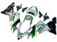 Venta Carenados Moto Kawasaki ZX10R 2004-2005 - Verde Plata Negro 69