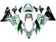 Venta Carenados Moto Kawasaki ZX10R 2004-2005 - Verde Plata Negro 69