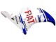 Venta Carenados Moto Yamaha YZF 600 R6 2005 - Blanco Azul Dunlop Fiat Motul