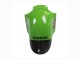 Venta Carenado Moto Kawasaki ZX12R 2002-2006 - Verde Negro Brillante Elf Touch4 Monstruo