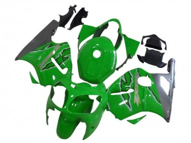 Venta Carenados Moto Kawasaki ZX12R 2002-2006 - Verde Plata