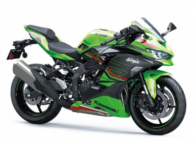 Venta Carenados Moto Kawasaki ZX4R ZX-4RR 2019-2025 - Verde Negro Rojo Blanco